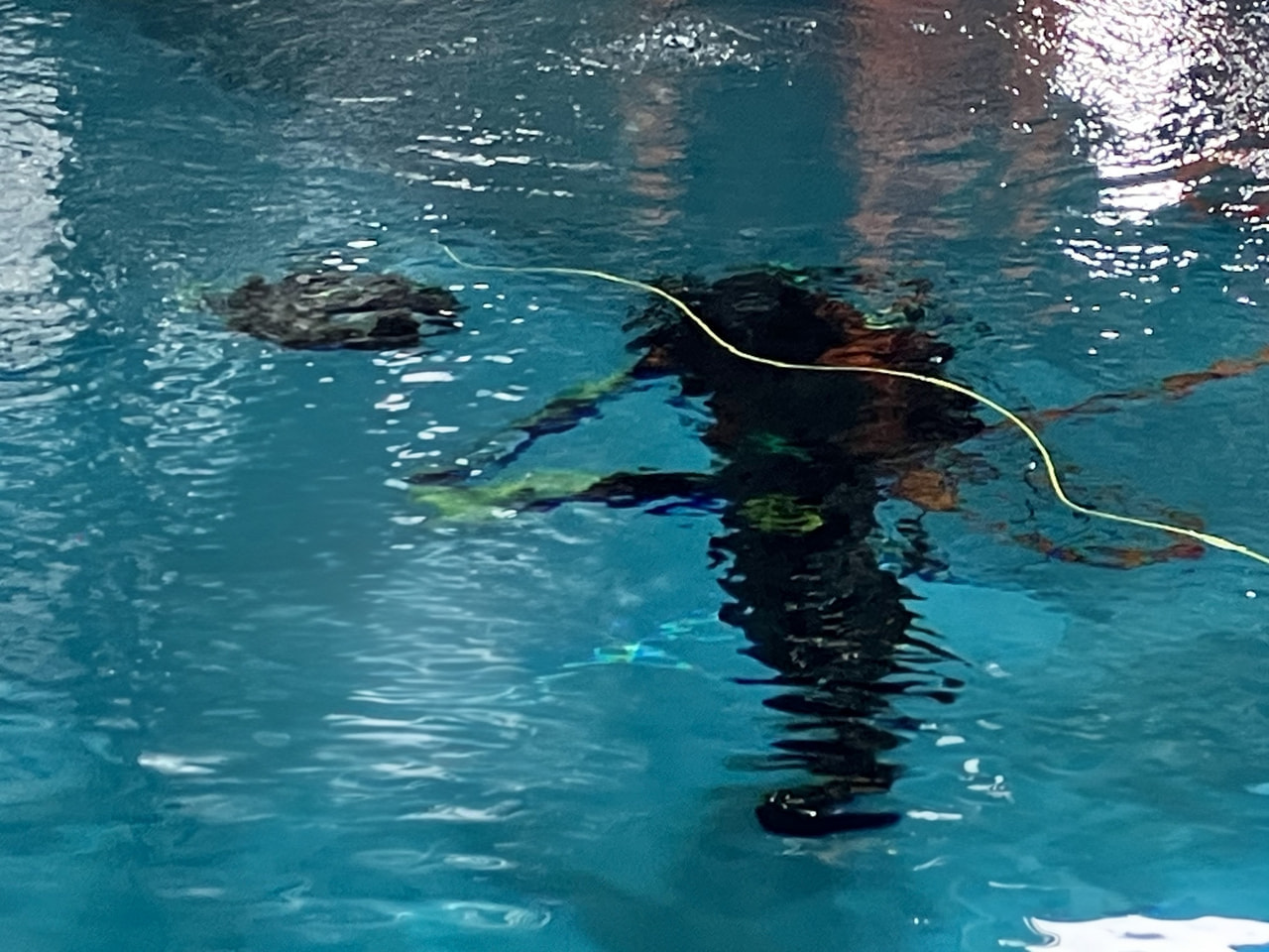 過酷な水中作業の安全性の向上へ、潜水士リアルタイムモニタリング