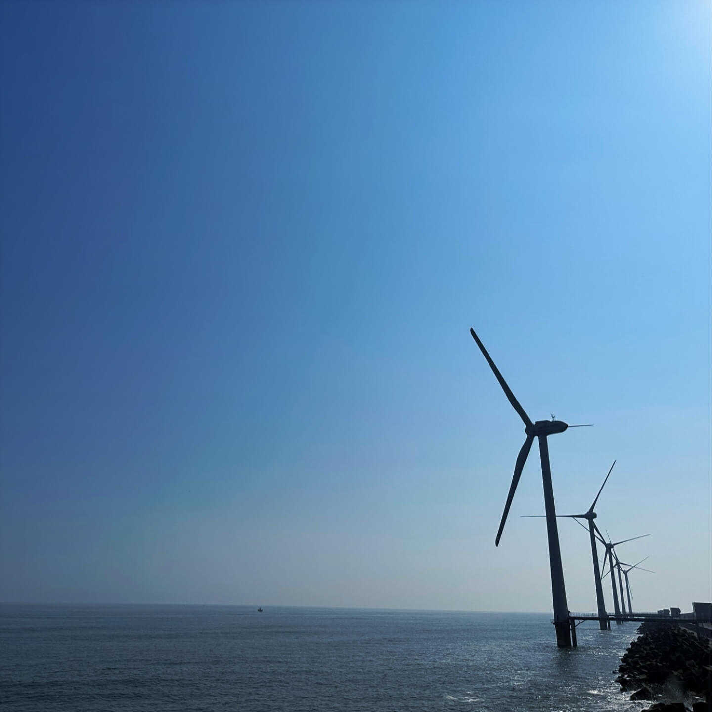 洋上風力発電所